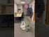 Man demonstrating multiple width line stencils in an office setting, showcasing their versatility for parking and sports.